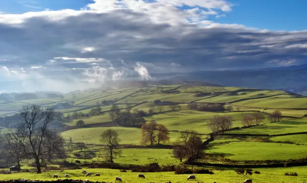 ‘Indeed, even financiers need clean air’: Regular Britain boss cautions Bracket over danger to green guidelines